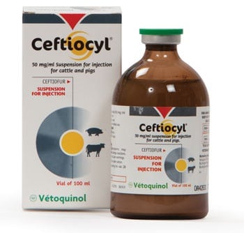 Ceftiocyl Ceftiocyl