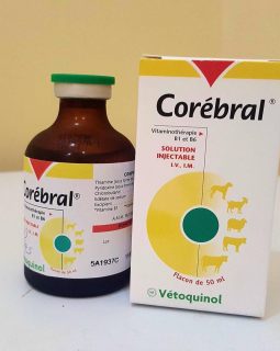 Corebral