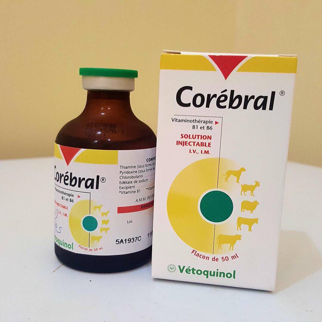 Corebral Corebral