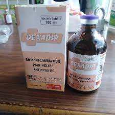 DEXADIP