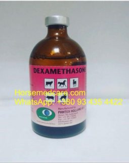 DEXAMETHASONE