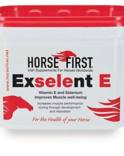 Horse First Exselent E