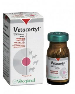 Vetacorty