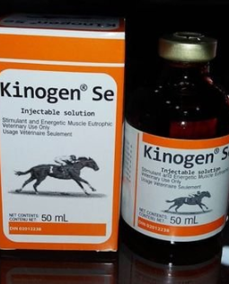 kinogen se