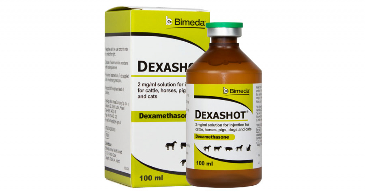 Dexashot Dexashot