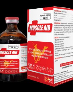 Muscle aid