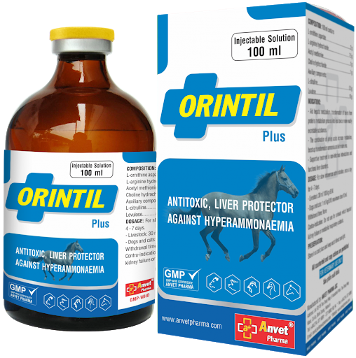 ORINTIL ORINTIL