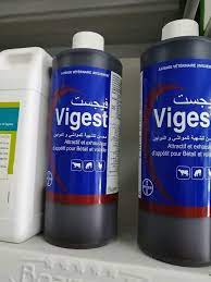 Vigest