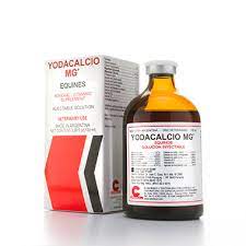 YODACALCIO