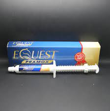 equest pramox oral gel