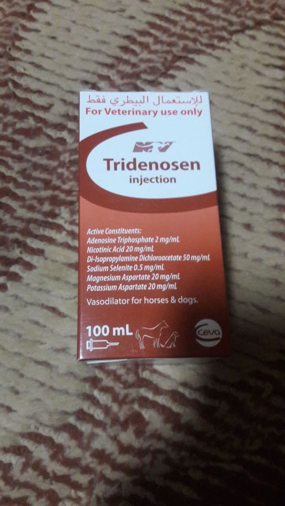 TRIDENOSEN Tridenosen