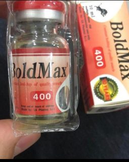 boldmax