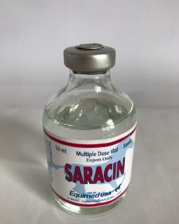Saracin