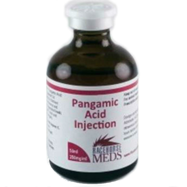 Pangamic Acid (Vitamin B15) 250mg/ml 50ml Pangamic Acid (Vitamin B15) 250mg/ml 50ml