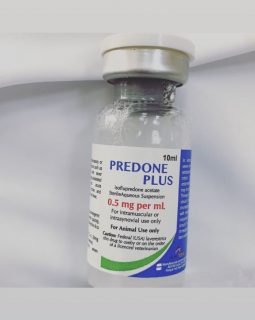 predone plus